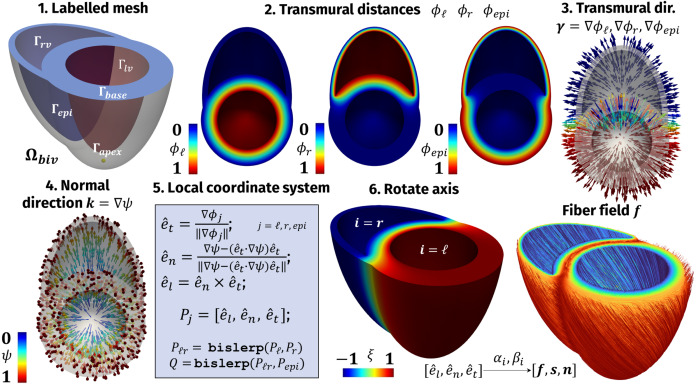 Cardiac Benchmark Logo